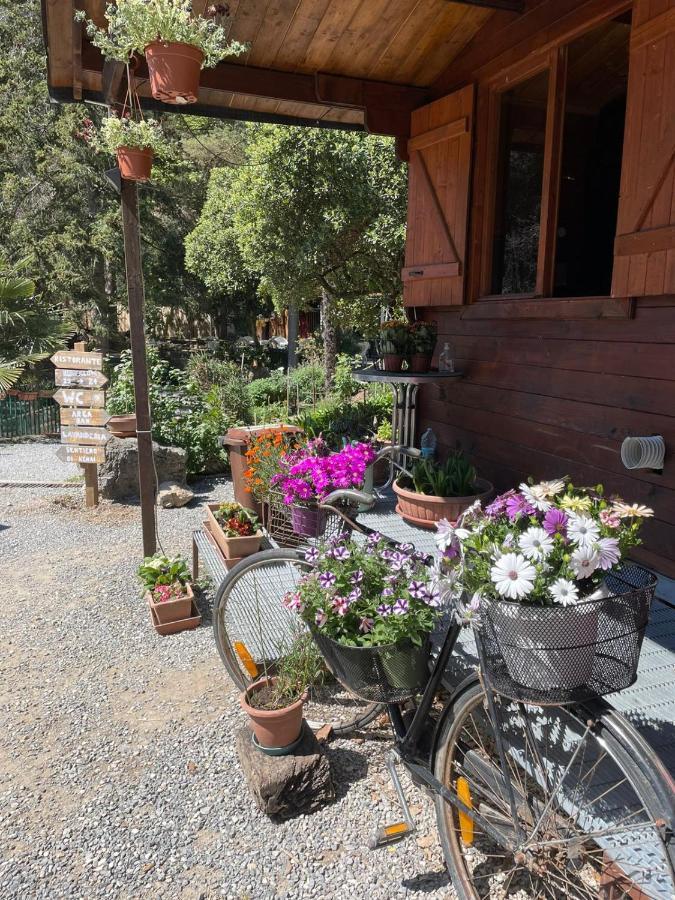 Agricamping Le Terrazze Orco Feglino Exterior foto